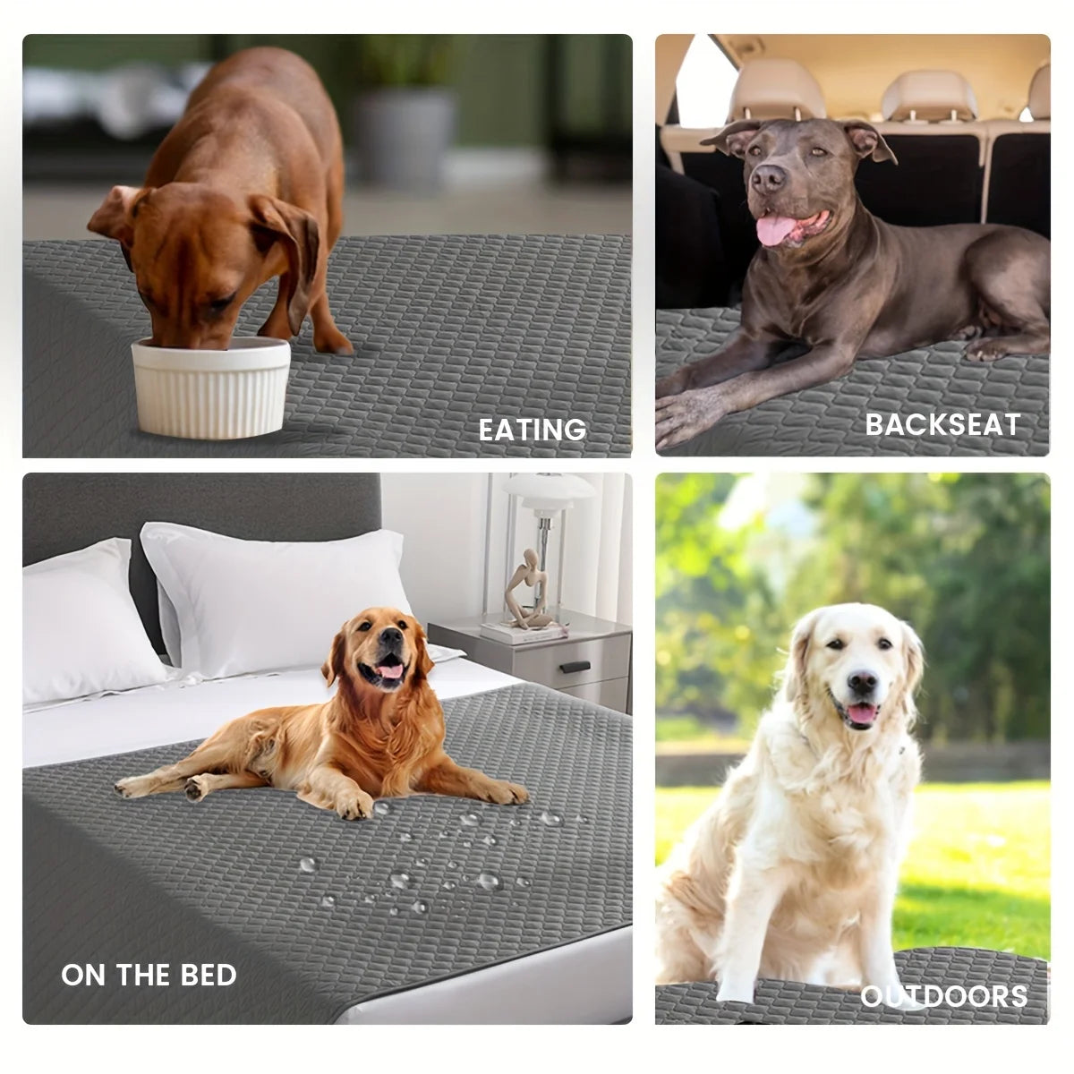 Prestige Premium Paw Cover