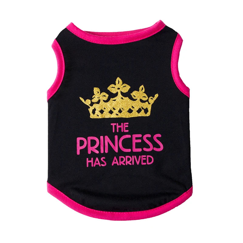Majesty Paws Collection