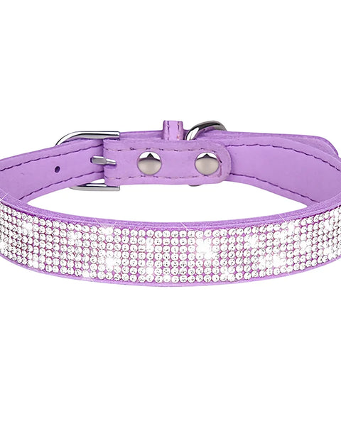 Luxe Fashion Pet Collar