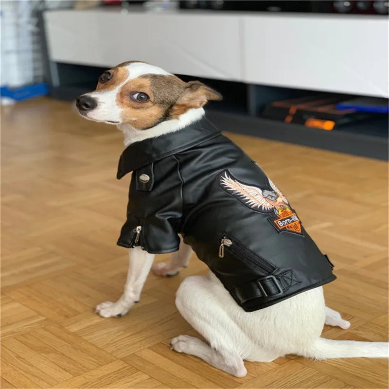 EagleStride Jacket