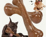 Natural Wooden Dog Chew Toy for Puppy Teething, Dental Health, Healthy Chewing, Mental Stimulation and Daily Enrichment