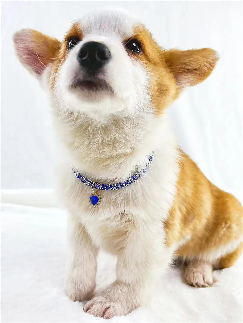 Aurora Heart Collar