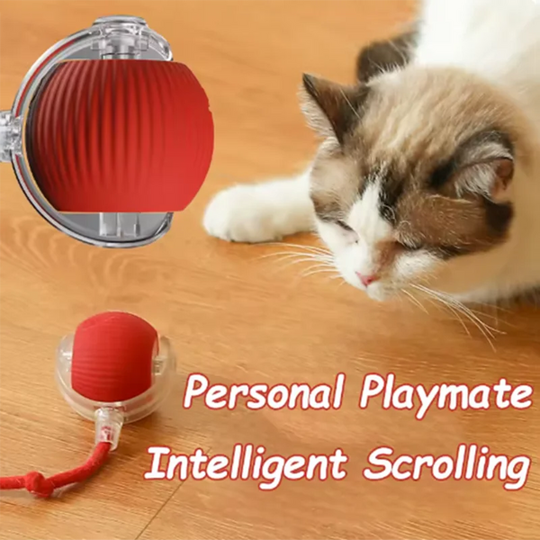 Original PetFunPro™ Interactive Toy