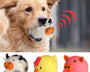 Interactive sound dog toy with durable non-toxic design that stimulates hunting instincts, promotes active play, reduces stress, and supports mental and physical enrichment for dogs of all breeds and ages