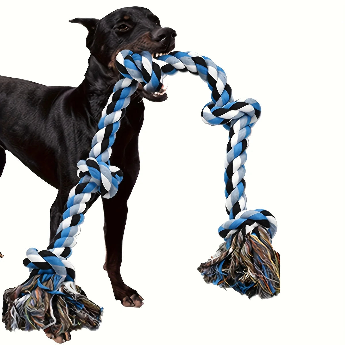 Heavy-duty rope dog toy for dogs that supports chewing, dental health, and interactive tug-of-war play.