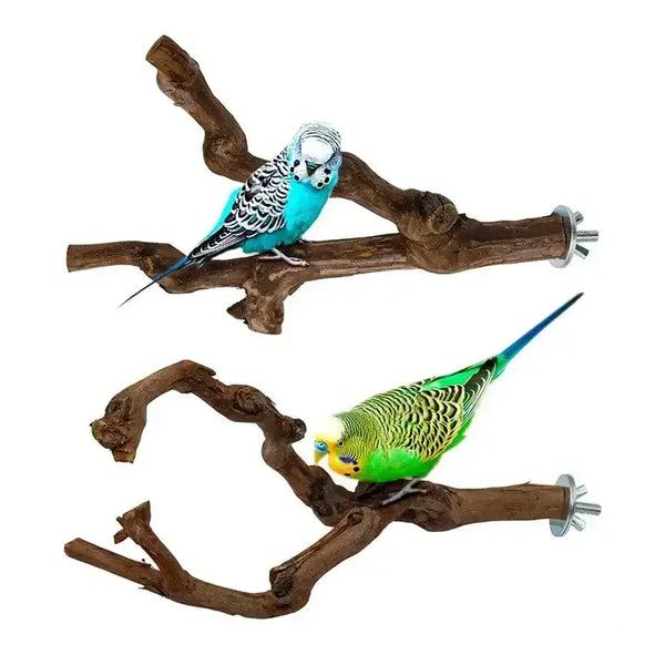 Beakwood Grape Branch