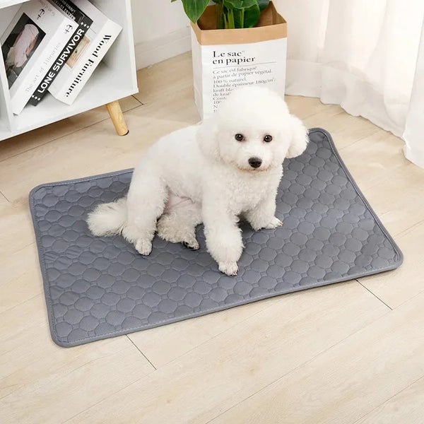 Absorpaw Shield