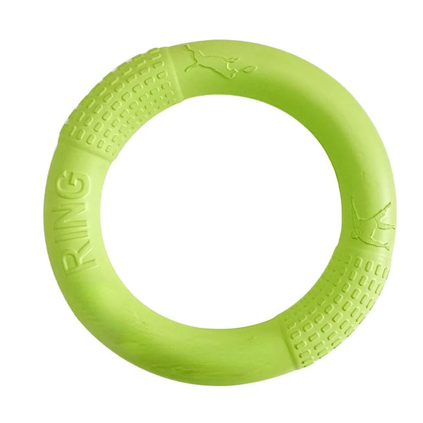 FetchRing Floating Toy