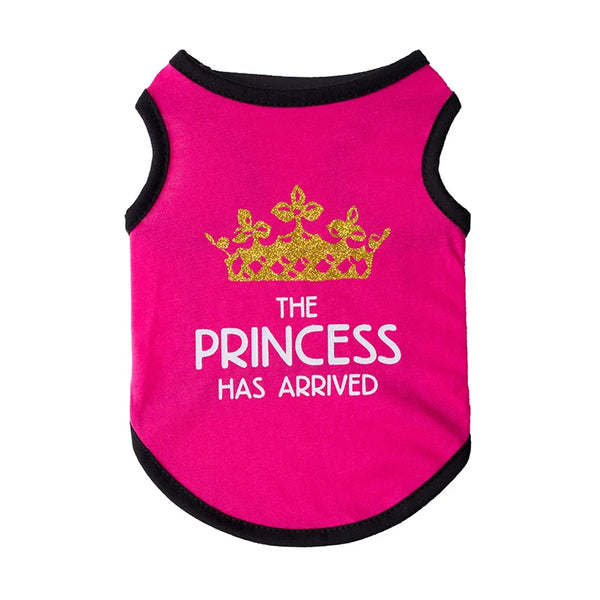 Majesty Paws Collection