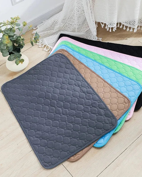 Absorpaw Shield