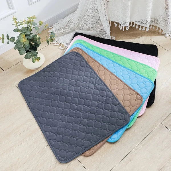 Absorpaw Shield