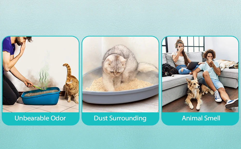 Odor Purifier
