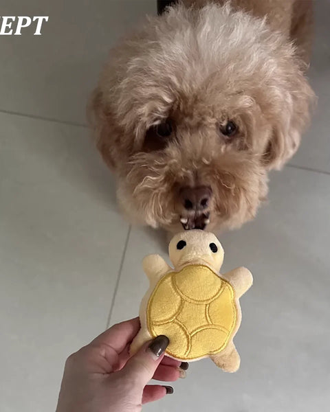 TurtleBite