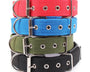 Durable Nylon Dog Collar for Small, Medium and Large Dogs for Comfortable Daily Walks, Training and Outdoor Activities