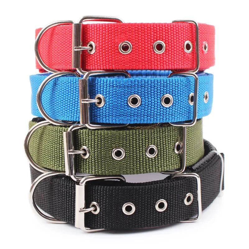 Durable Nylon Dog Collar for Small, Medium and Large Dogs for Comfortable Daily Walks, Training and Outdoor Activities