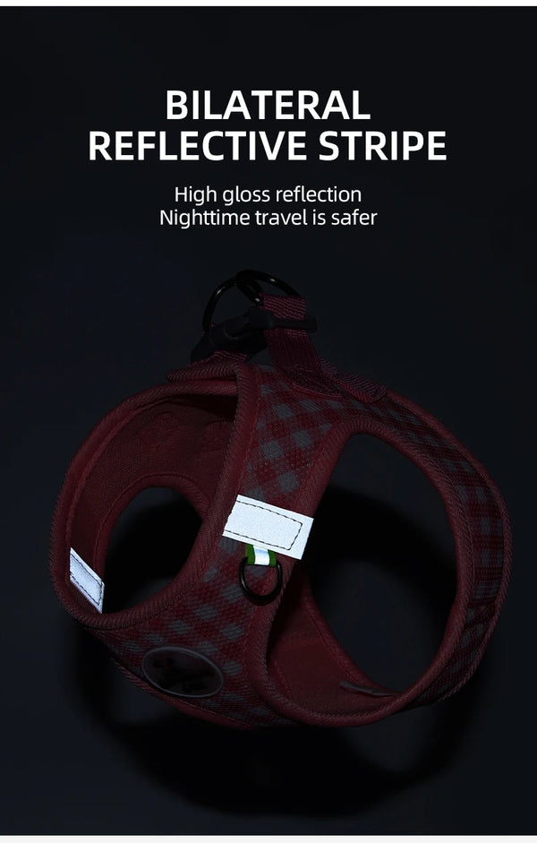 Dog Harness and Leash Set