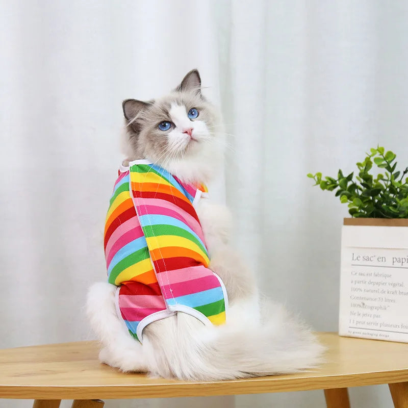 PetRecovery Anti-Licking Suit