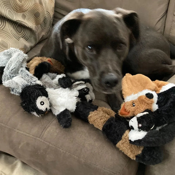Zenvuro – Fun Dog Toy