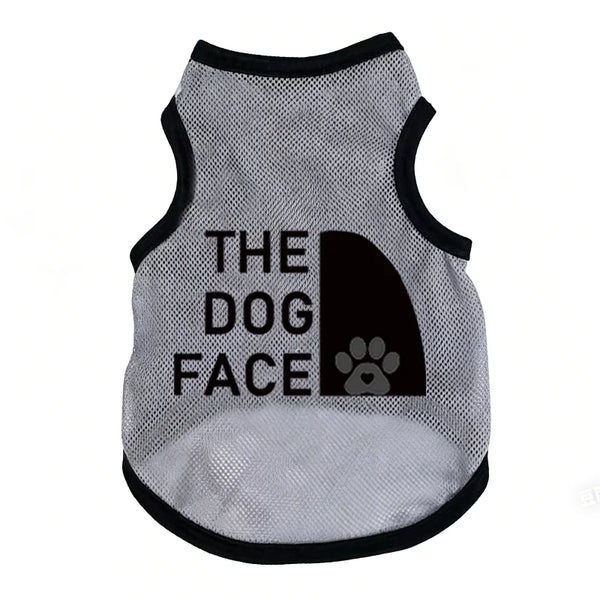 AeroPaw – Dogs & Cats