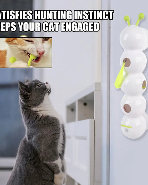 FelineFlap Smart Motion