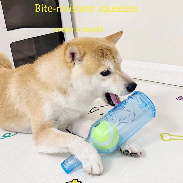 PawBottle Toy