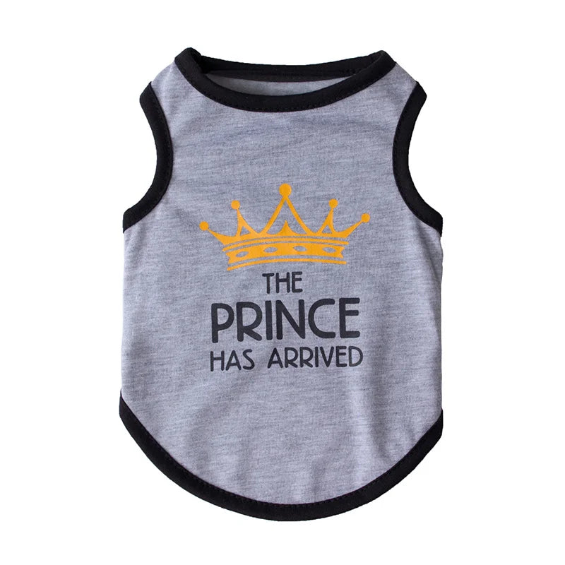 Majesty Paws Collection