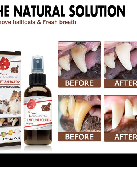 FreshPaws Dental Spray – No More Odor