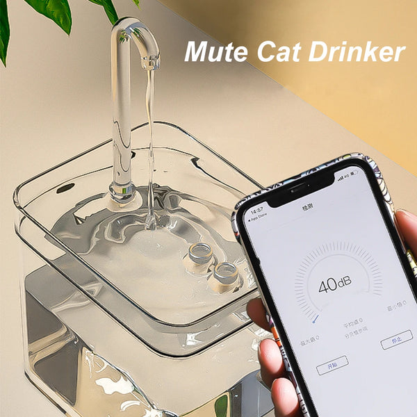 FreshWater Fountain