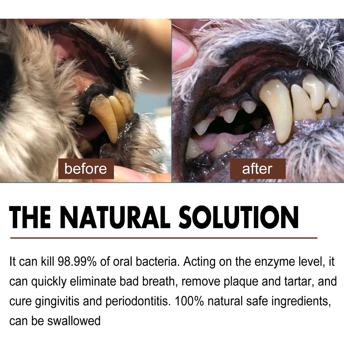 FreshPaws Dental Spray – No More Odor