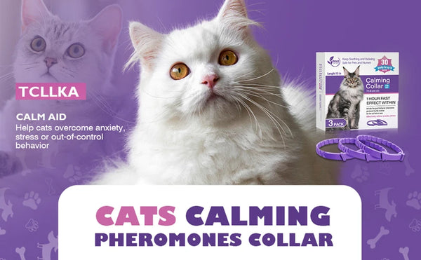 LumeCalm Collar