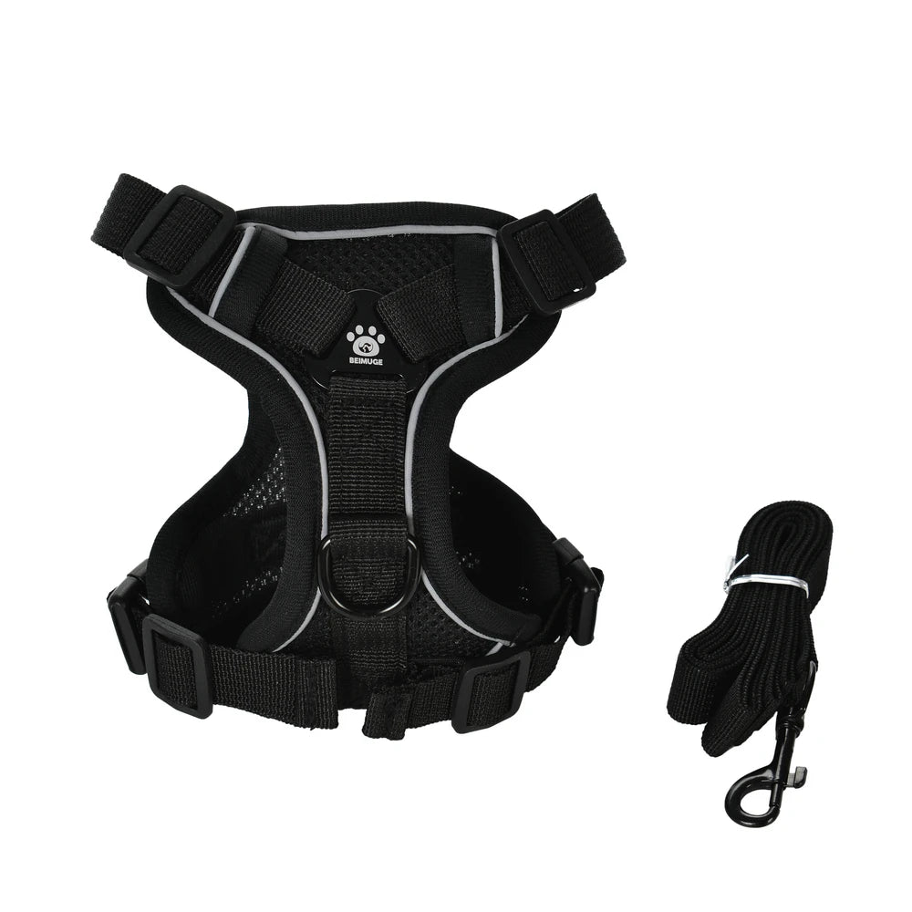Dog Harness and Leash Set