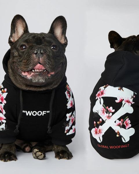 Soft front-leg dog hoodie for small to medium dogs made from lightweight warm fabric for comfort and protection during autumn and spring walks