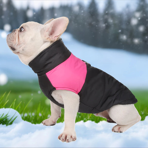 Thermova Dog Winter