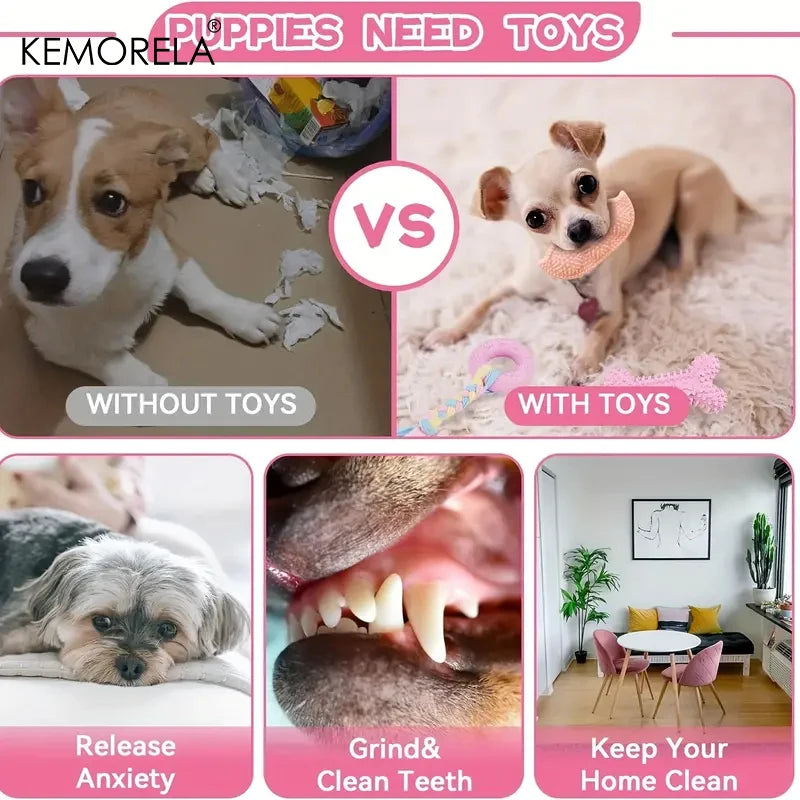 FunMolar Dog Toy Set