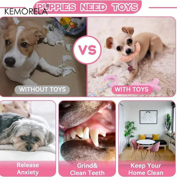 FunMolar Dog Toy Set