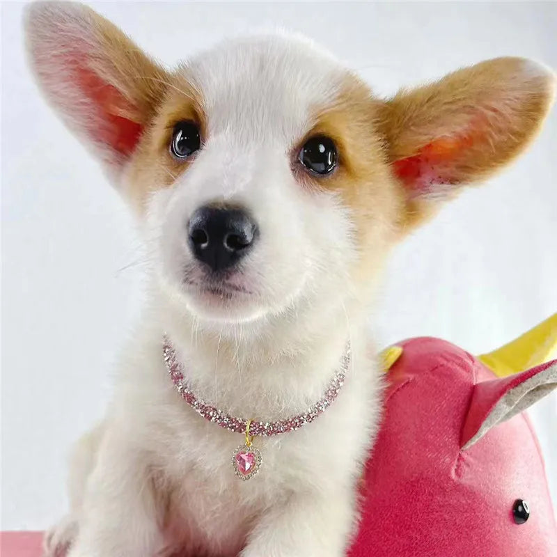 Aurora Heart Collar