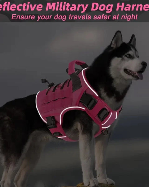 Dog Harness with Handle