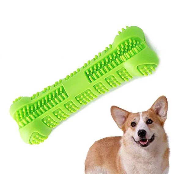Denticlean – Healthy teeth, playful fun!
