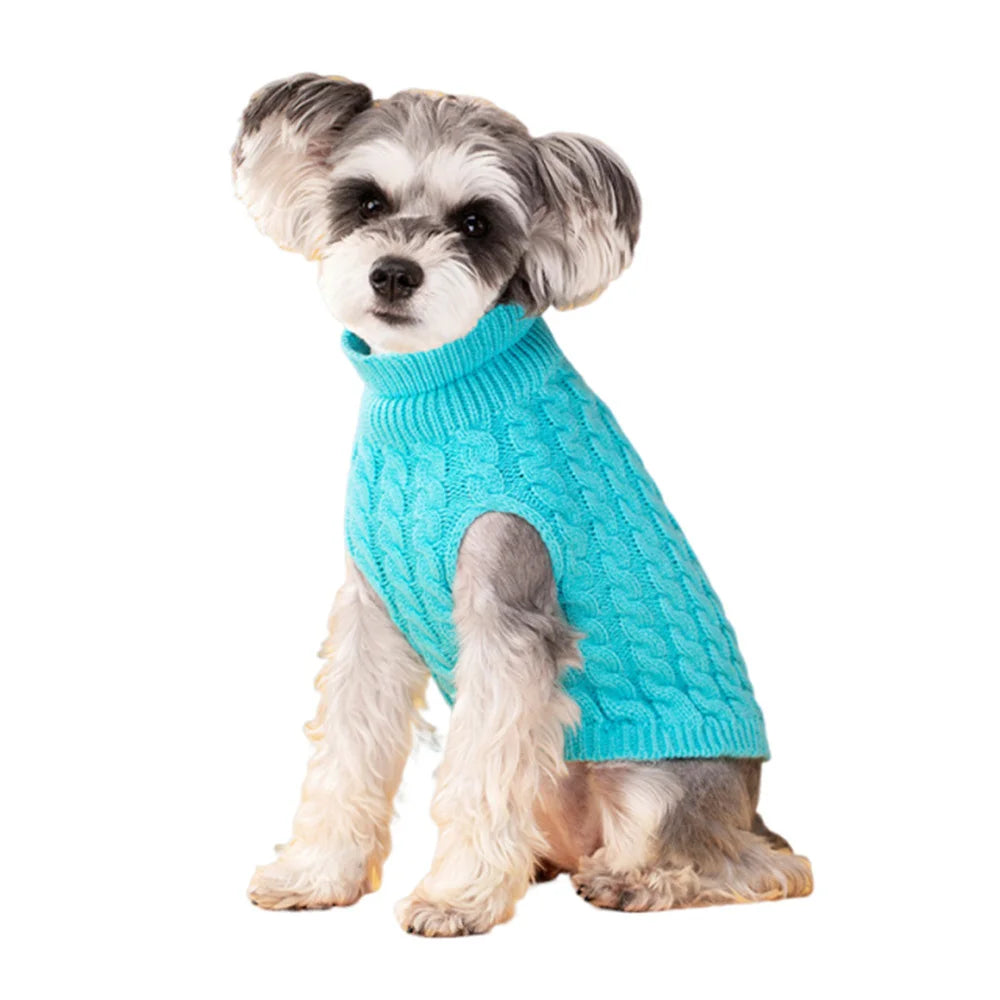 CozyPaw Classic Sweater
