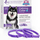  3Pc Dog 62cm-Purple