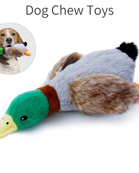 Squeaky duck plush dog toy for dogs that supports chewing, dental cleaning, and mental stimulation during interactive play.