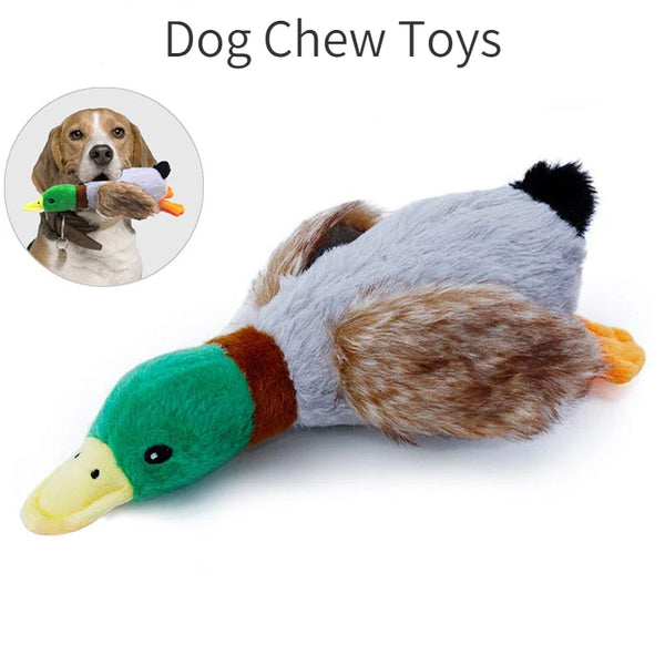 Squeaky duck plush dog toy for dogs that supports chewing, dental cleaning, and mental stimulation during interactive play.