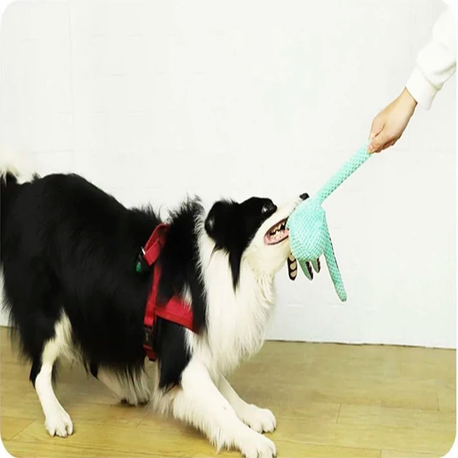 Interactive Dog Toy