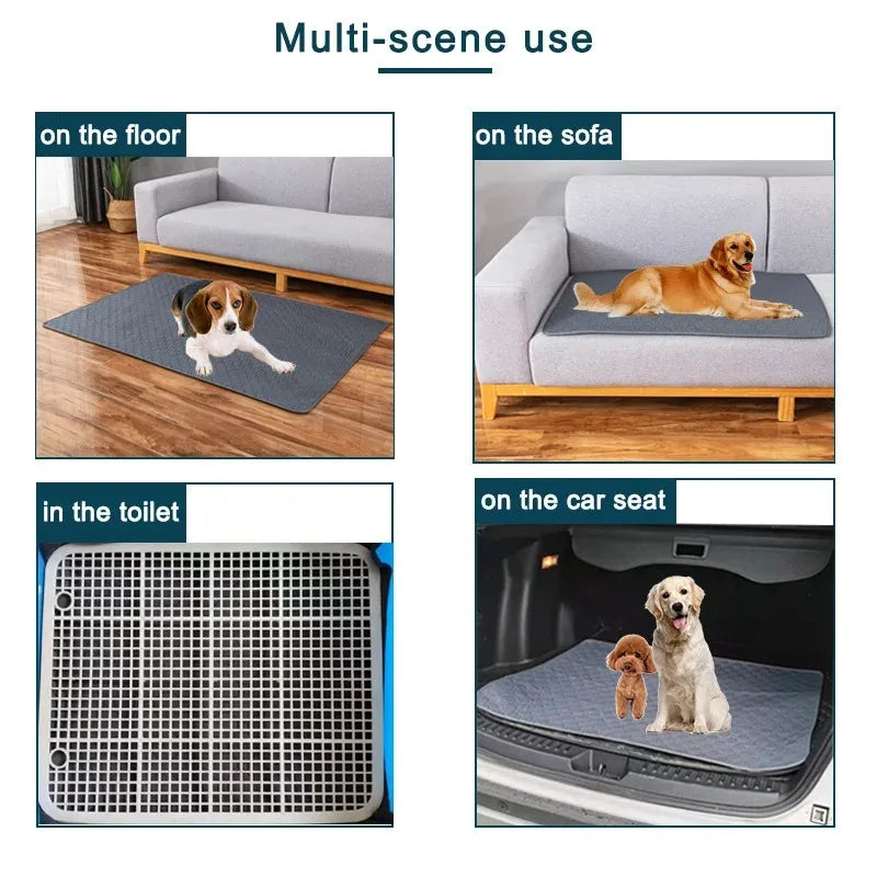 Absorpaw Shield