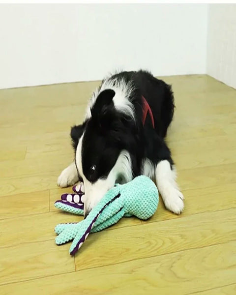 Interactive Dog Toy