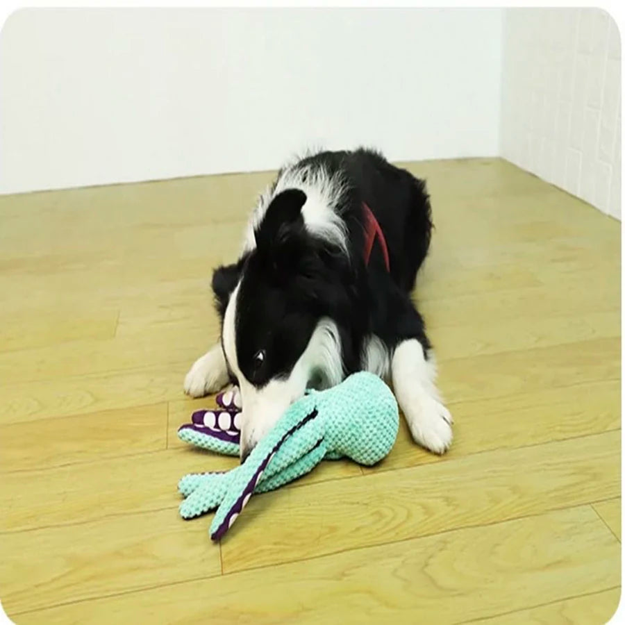 Interactive Dog Toy