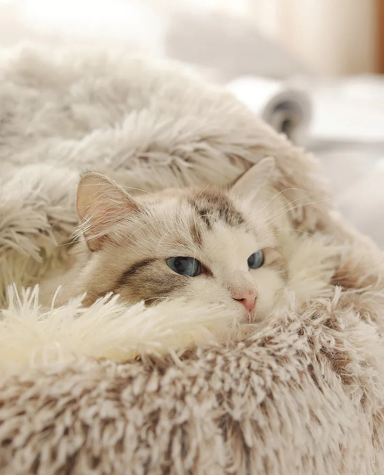 Winter Bed – Premium Model