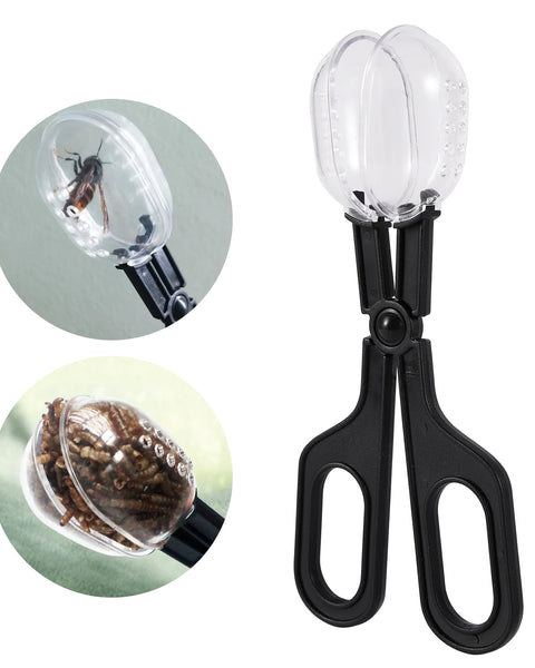 Insectraxx™ Reptile Terrarium