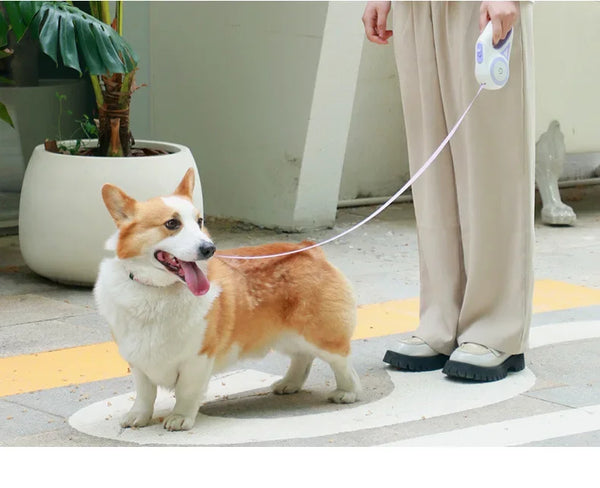 LumiTrail FlexiLeash