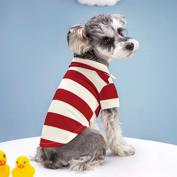 PawPolo Summer Shirt